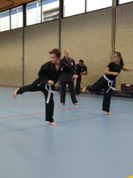 Album afbeelding 4